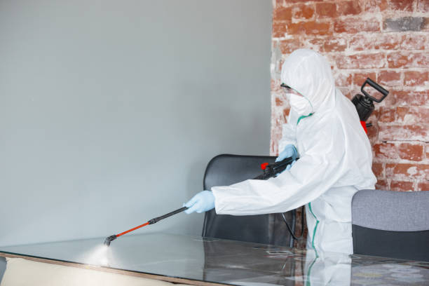 Mold Remediation for Rental Properties